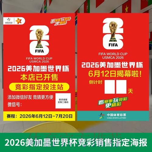 2026世界杯投注全攻略(免费版) 2026世界杯投注全攻略(免费版)